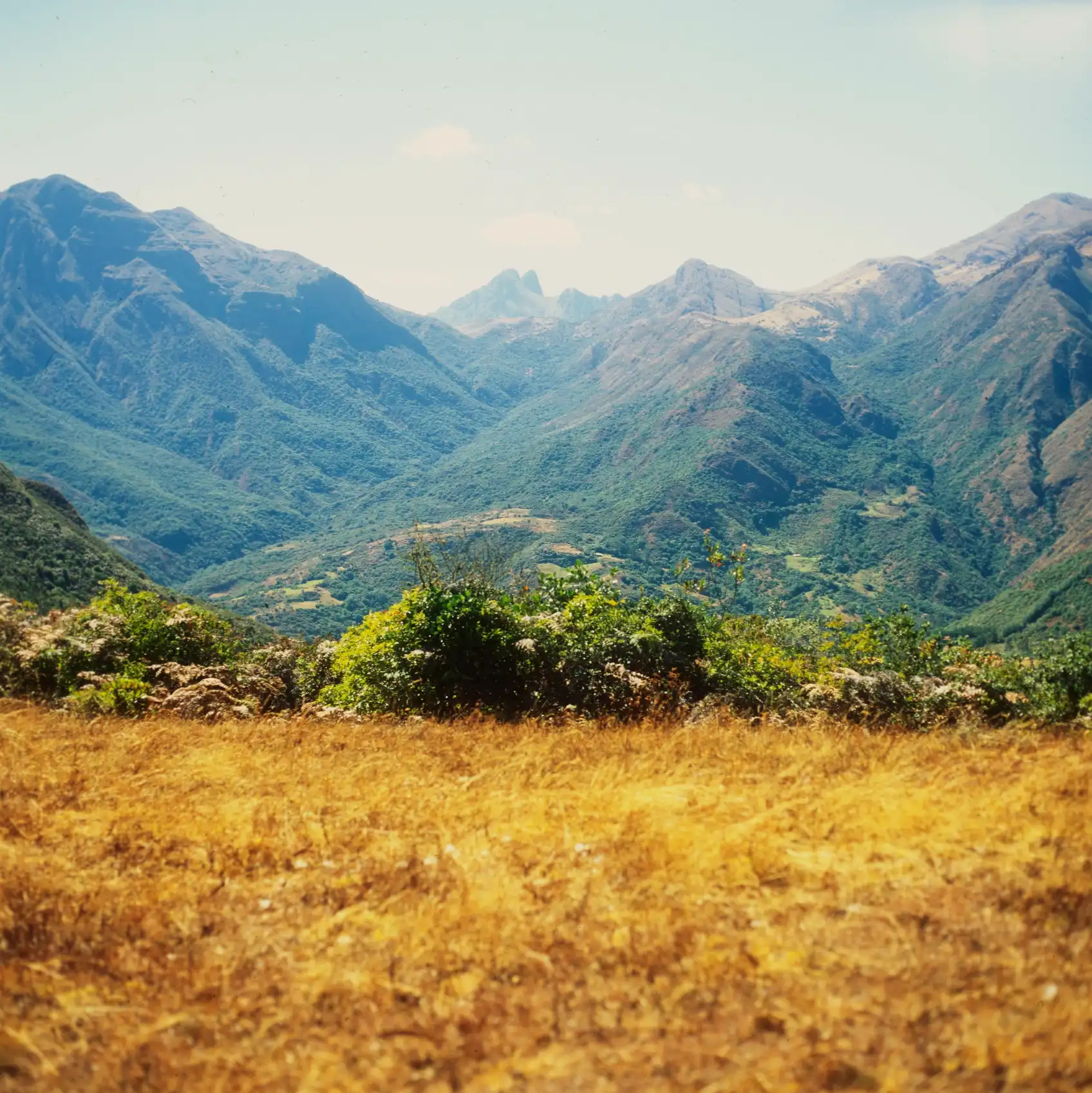 El Espíritu Santo de Huangamarca