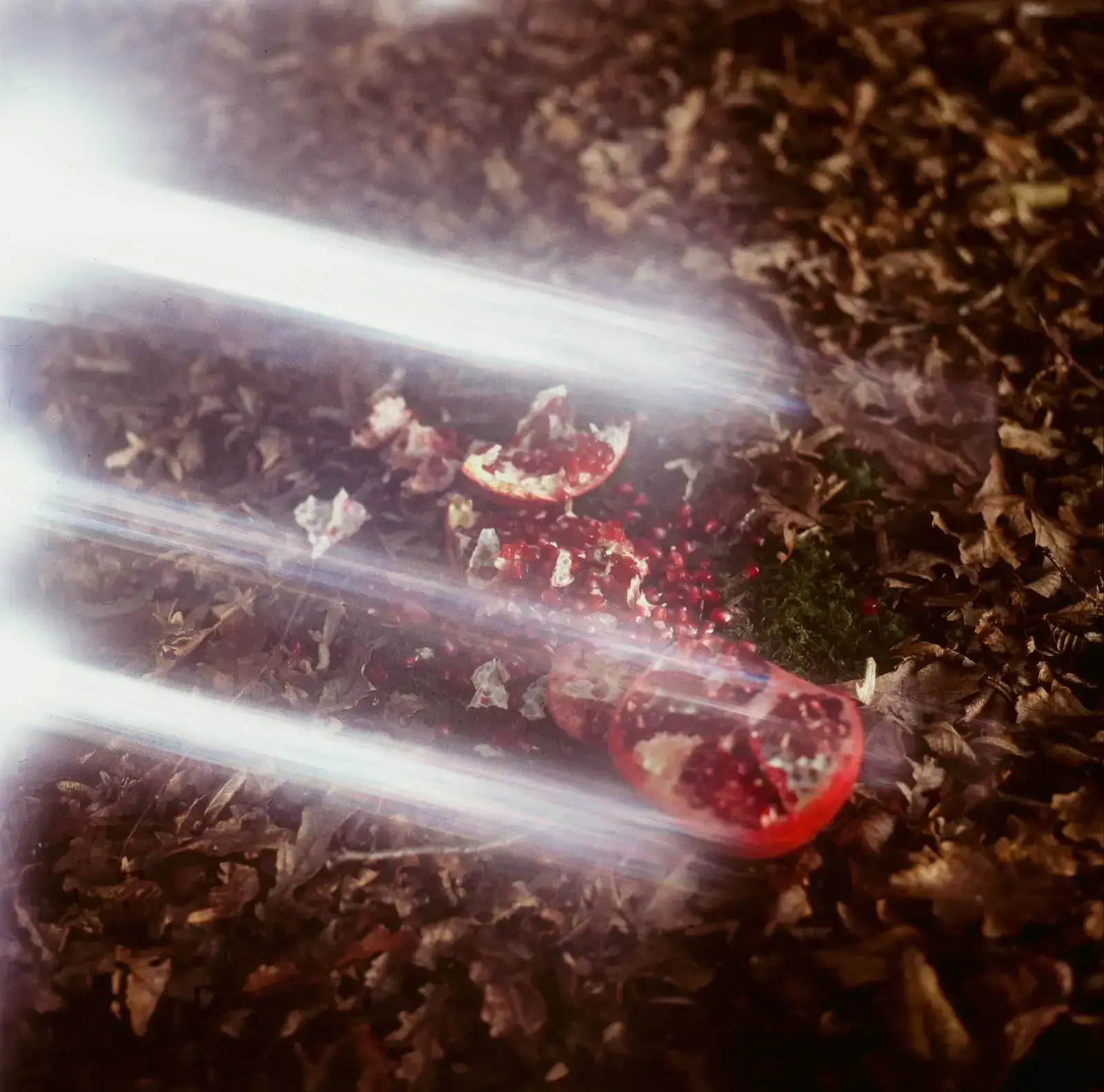 Giving birth to a Pomegranate