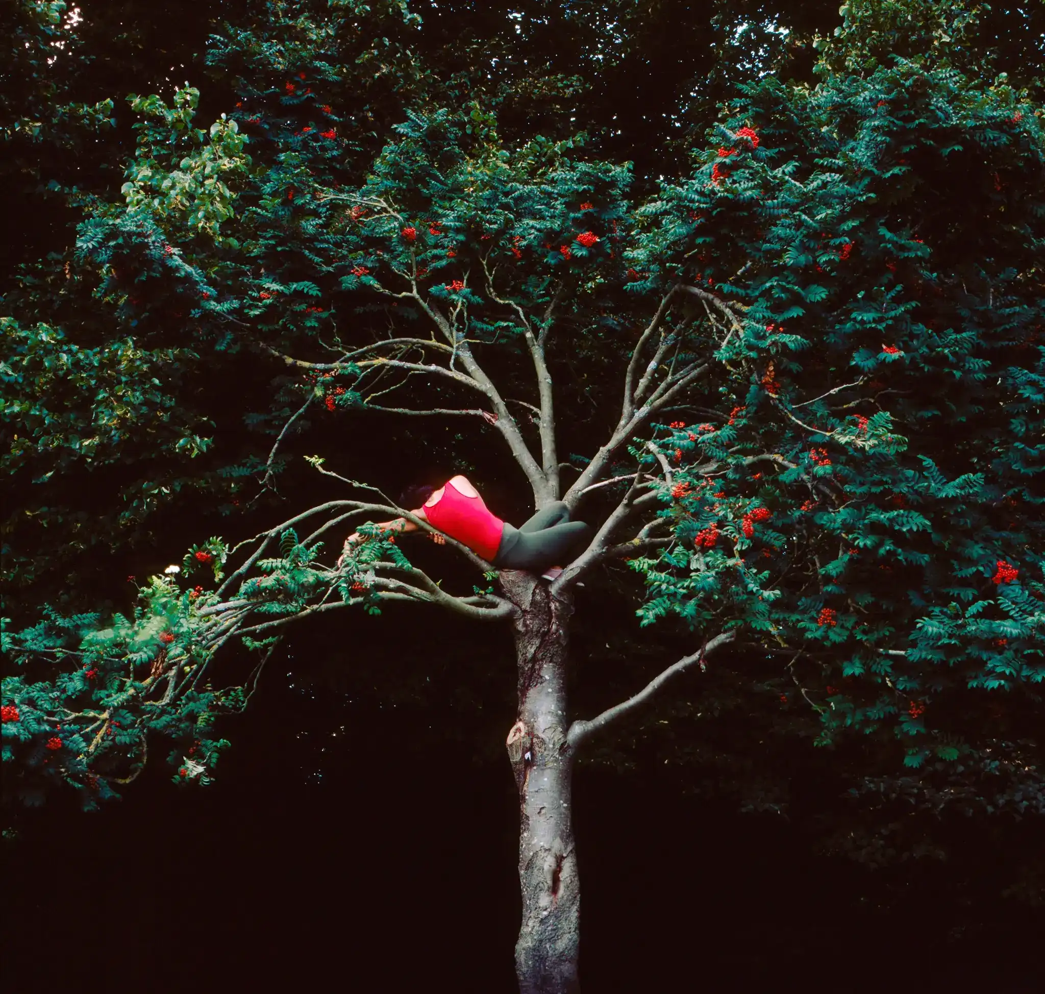 Exercise to climb a tree